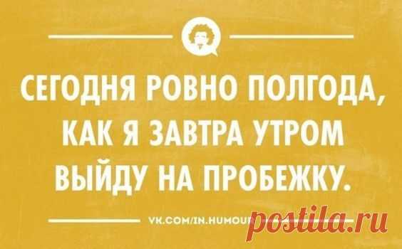 Подборка лучших шуток и анекдотов