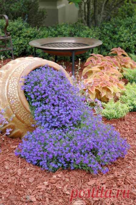 Уличные вазоны, как украшение участка
#уличные_вазоны #украшение_участка #ландшафтный_дизайн