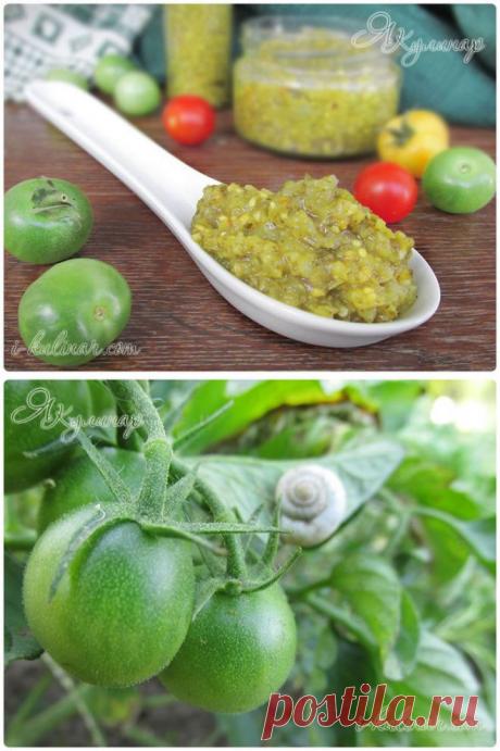 Домашняя аджика из зеленых помидоров — Планета и человек