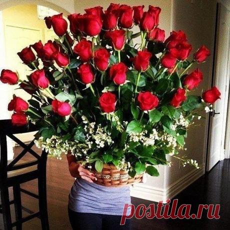 Корзина свежих роз от 10000 тенге
8 7714707518