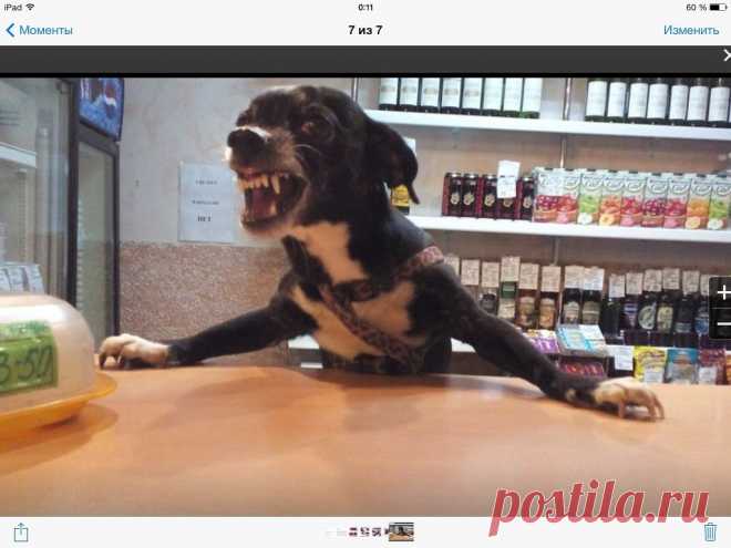 ВСЁ ЛУЧШЕЕ ИЗ YOU TUBE (16 плюс)
Марина Сторожева(Орехова)