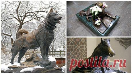 Знаменитые памятники животным всего мира Памятники воздвигли выдающимся животным, которые тем или иным способом поразили людей.
