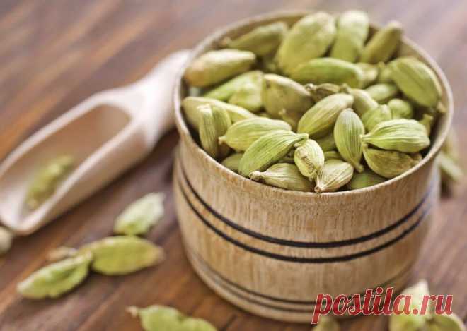 Полезные свойства кардамона и его применение Полезные свойства и применение кардамона – сегодняшняя тема для тебя, наш читатель. Познакомимся с разновидностями, особенностями употребления «райского зерна».