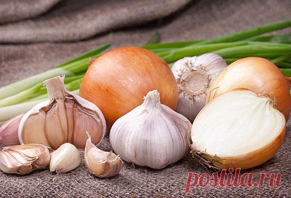 Лук и чеснок сажают вместе или по отдельности?