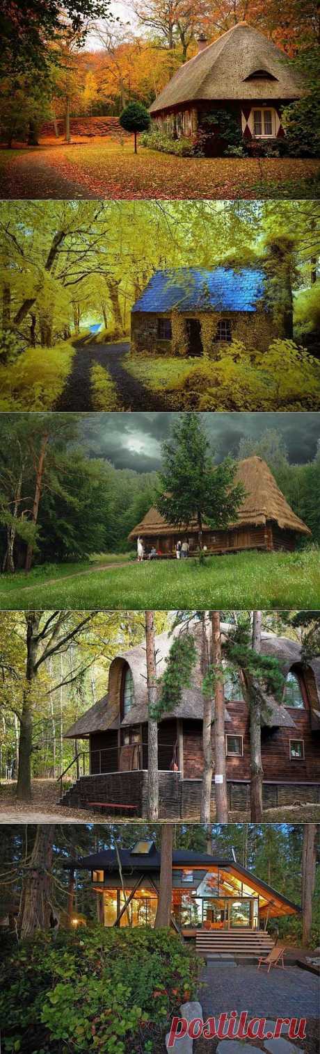 Самые красивые дома в лесу