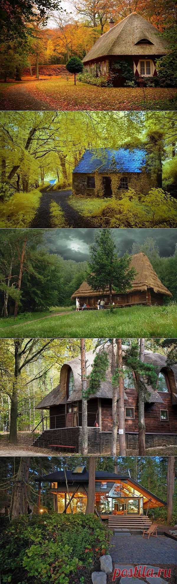 Самые красивые дома в лесу