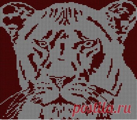 Gallery.ru / Фото #156 - Дикие животные (схемы) - Olgakam