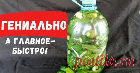 100 кг за пять минут! Быстрый способ засолки огурцов на зиму / Огурцы в бутылке - пошаговый рецепт с фото.