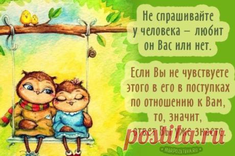 (4) Одноклассники