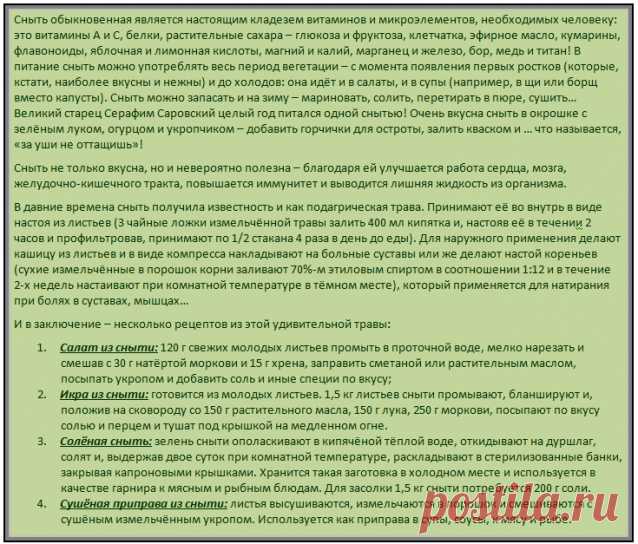 О сныти - Садоводка