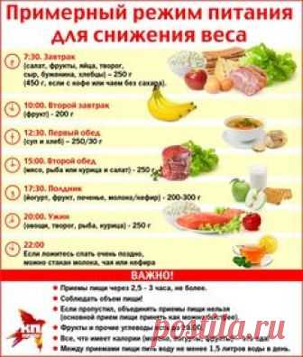 Инфографика: Фото: Илья СКОВОРОДИН