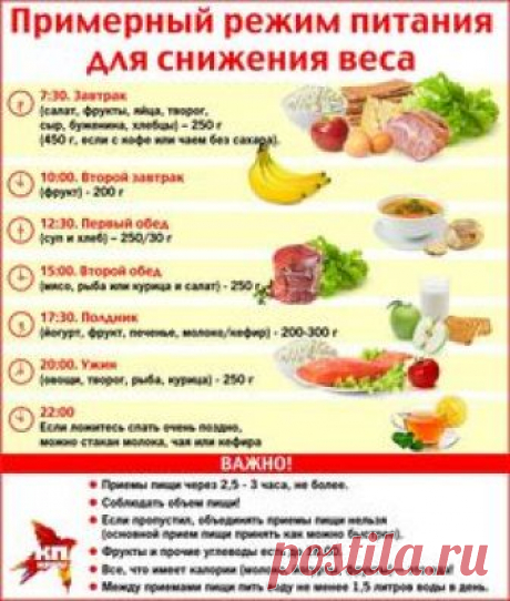 Инфографика: Фото: Илья СКОВОРОДИН