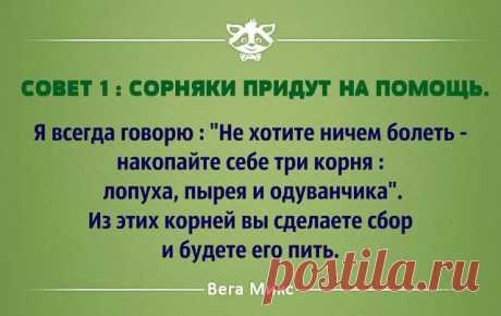 Сорняки придут на помощь