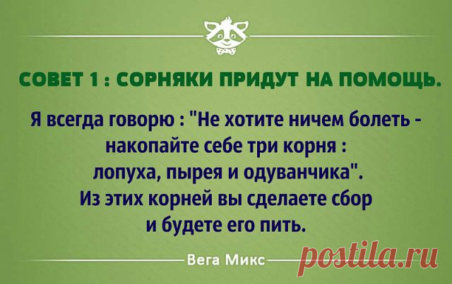 Сорняки придут на помощь
