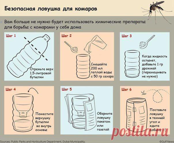 Как самостоятельно сделать безвредную ловушку для комаров.