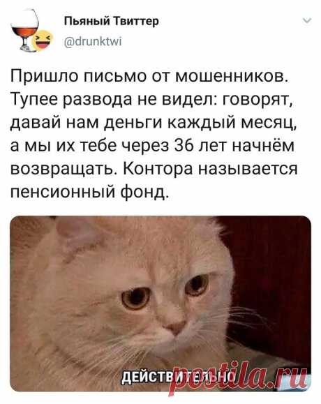 Живи быстро, умри молодым - негласный слоган Пенсионного Фонда