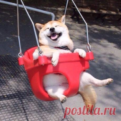 Мой Мир@Mail.Ru