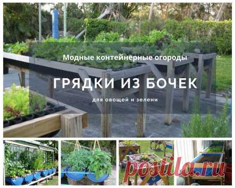 Бочки: 10 способов полезного применения на даче