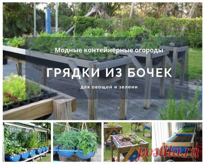 Бочки: 10 способов полезного применения на даче