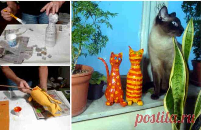Как сделать себе красивого кота: практическое руководство