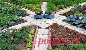 Составляем севооборот на огороде.