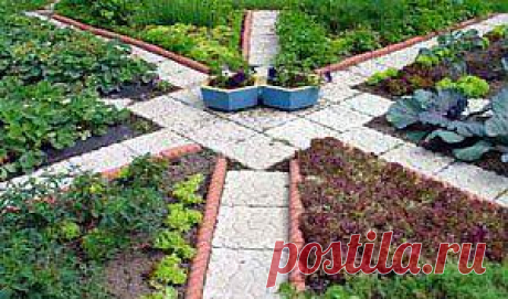 Составляем севооборот на огороде.