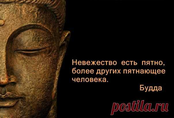 Цитаты о невежестве !.