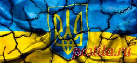 29 Пальм - Клуб путешествий Павла Аксенова > Блог Павла Аксенова