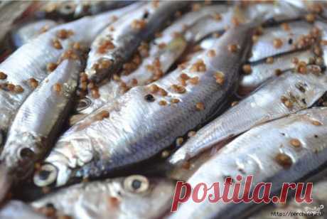 Маринованная салака пряного посола домашнего приготовления