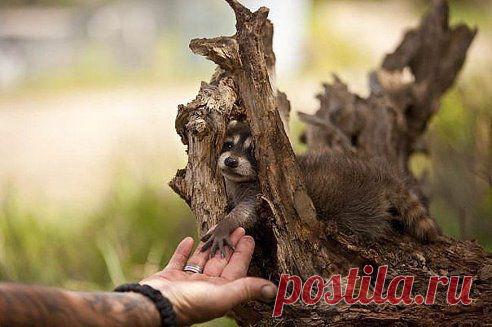 доверие это так важно!!!