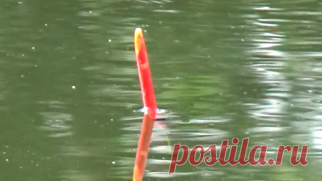 В какую погоду лучше всего ловиться рыба? | Рыбалка на поплавок и грибы. | Яндекс Дзен