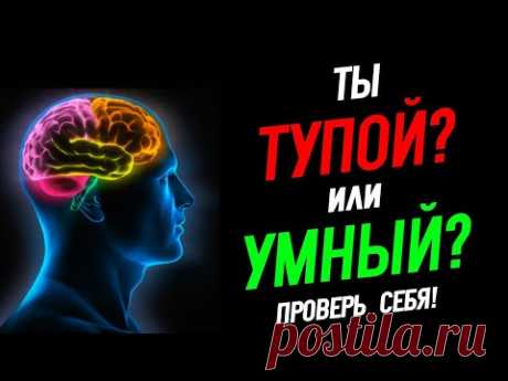 Тест: Насколько Ты Умный? Проверь Себя!