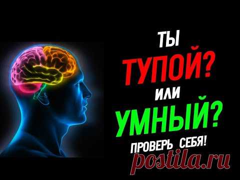 Тест: Насколько Ты Умный? Проверь Себя!