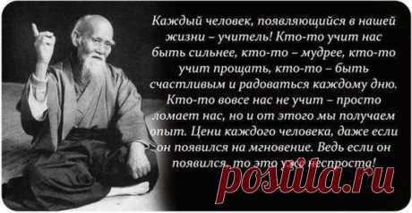 Дневник Prime33