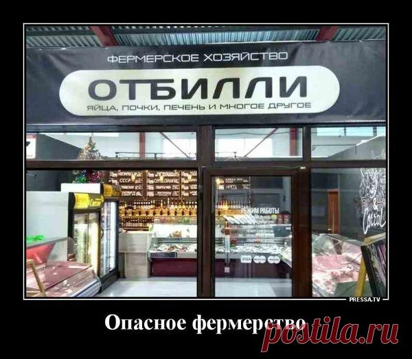 «Возможно, это изображение (текст «фермерское хозяйство отбилли яйца, почки, печень и MHOгOE другое DE சாதன A работы PRESSA.TV опасное фермерство»)» — карточка пользователя Татьяна Кармишина в Яндекс.Избранном