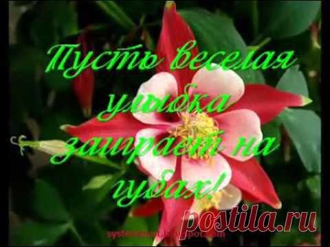 Улыбнись!!! Зарядись отличным настроением!!!! | Поздравления и тосты