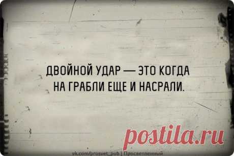 Цитаты, смешное