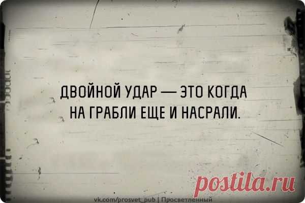 Цитаты, смешное