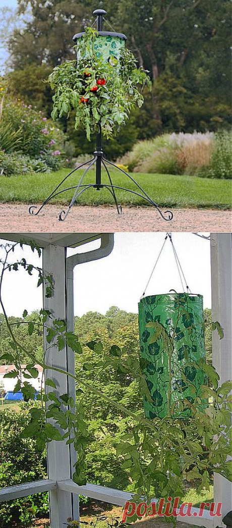 ОГОРОД ВВЕРХ ТОРМАШКАМИ ИЛИ ВЫРАЩИВАНИЕ РАСТЕНИЙ В ПЕРЕВЕРНУТОМ ВИДЕ. | Самоцветик