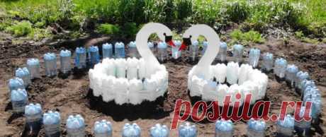 Самоделки из пластиковых бутылок своими руками: фото