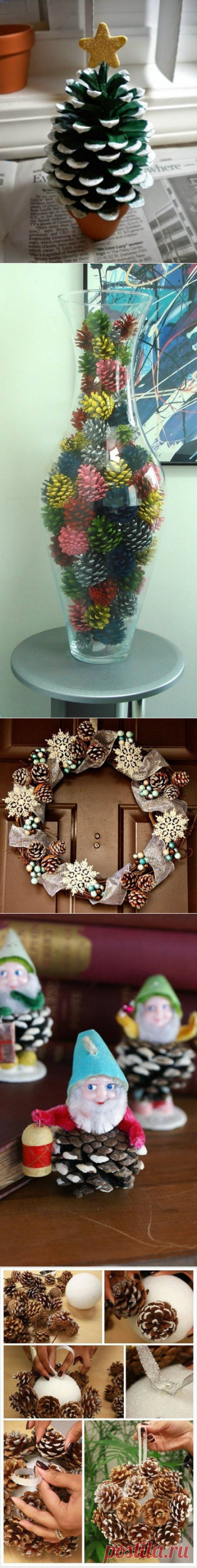 Вторая жизнь вещей. Шишки.