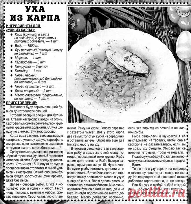 Уха из карпа