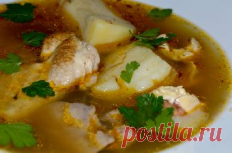 ШУЛЮМ ИЗ ДОМАШНЕЙ КУРИЦЫ. Танцы от плиты и до компа!!!

Здесь я описала рецепт шулюма из домашней курицы. Приготовление этого шулюма начинается с обжариванием до золотистого цвета кусков курицы, после чего птица была потушена …