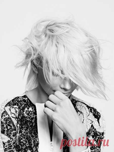 МИШЕЛЬ УИЛЬЯМС 2015-2016