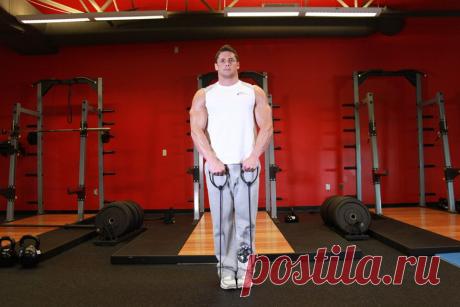 Тяга к груди с эспандером - Упражнения - DailyFit