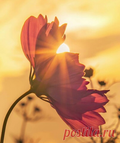 ...День всегда должен заканчиваться - Красиво...