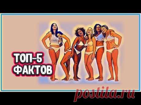 ЖЕНСКОЕ ТЕЛО - ТОП 5 Фактов о женском теле, которые вас удивят - YouTube