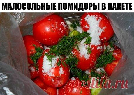 Малосольные помидоры в пакете. Рецепт — бомба!