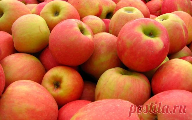 Плейкаст «***С Яблочным СПАСОМ!!!» Автор плейкаста: КНЕСТИКОВА. Когда: 15.08.2015.