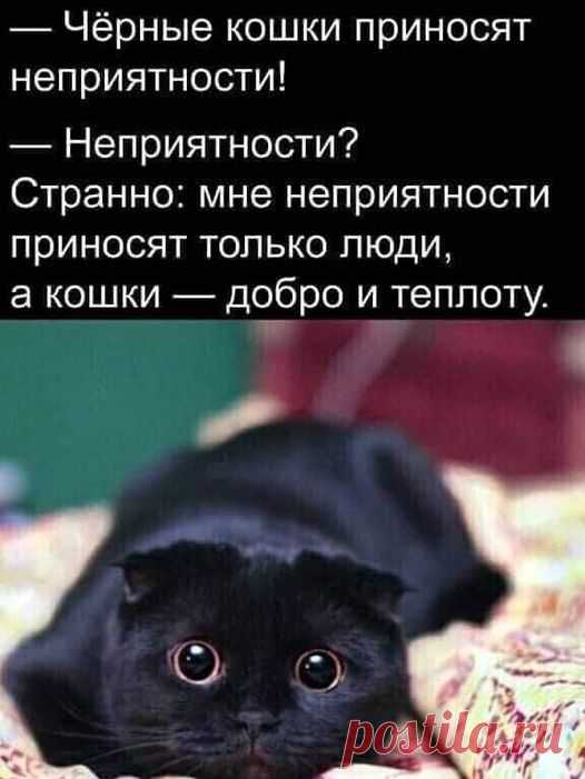 (20+) Facebook